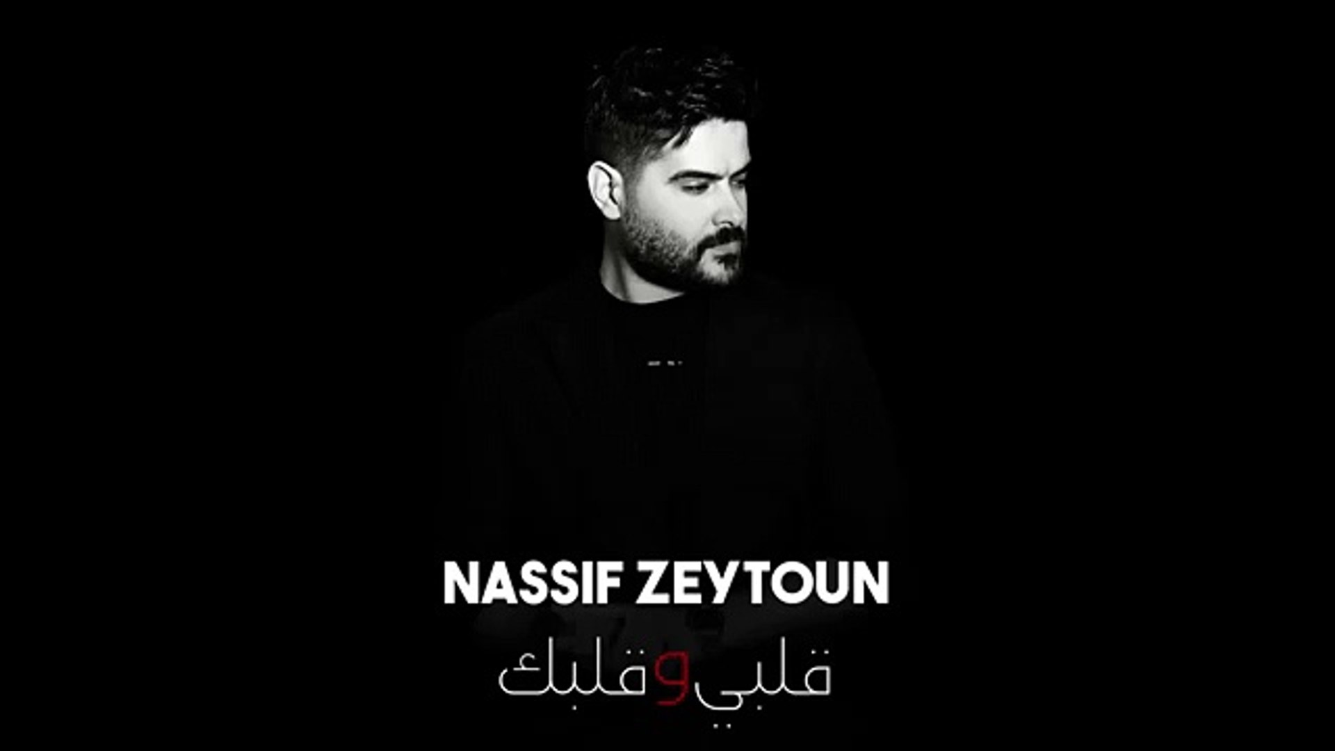 Nassif Zeytoun Image